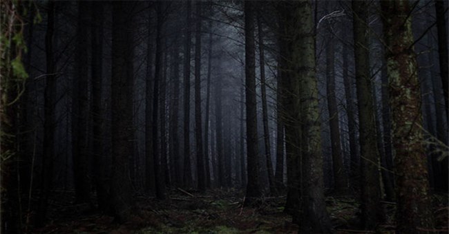 Thuyết "Khu rừng đen tối" và tại sao chúng ta vẫn chưa tìm thấy người ngoài hành tinh