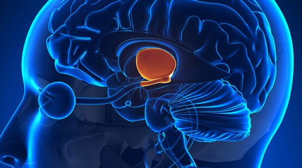 Người đàn ông cuồng ăn được bác sĩ ví như con thú hoang