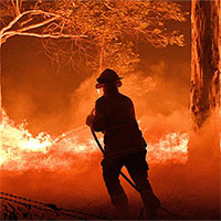 Phương pháp 50.000 năm tuổi có thể dập tắt cháy rừng Australia