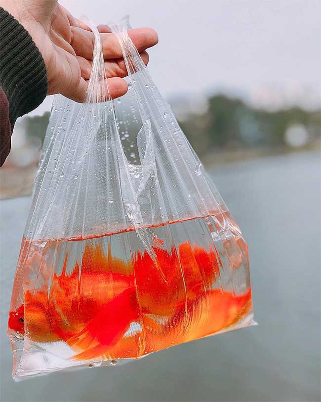 Tết Táo quân ở Việt Nam và các nước châu Á có gì đặc biệt?