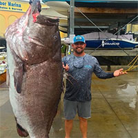 Ngư dân bắt được cá mú 50 tuổi khổng lồ ở Mỹ