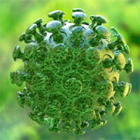 Những điều cần biết về virus corona gây bệnh viêm phổi lạ ở Trung Quốc