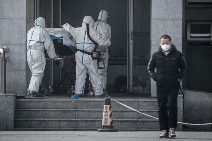 Dơi và rắn có thể là nguồn lây lan virus corona gây ra bệnh viêm phổi lạ