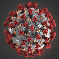 Lây kín, truyền nhanh - virus corona mới gây khó khăn cho kiểm dịch