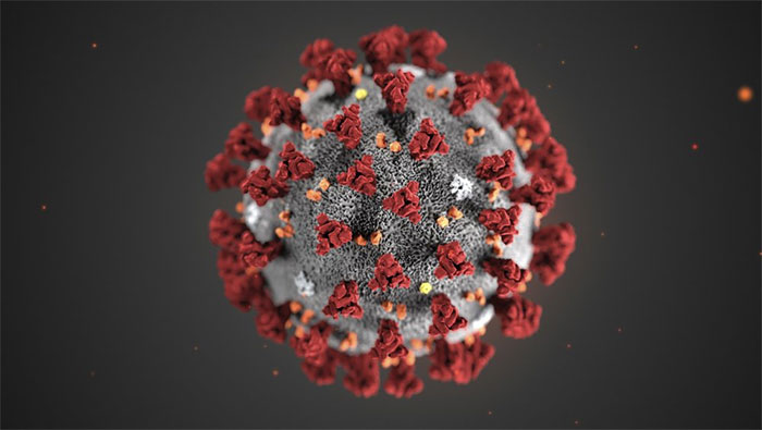 Lây kín, truyền nhanh - virus corona mới gây khó khăn cho kiểm dịch