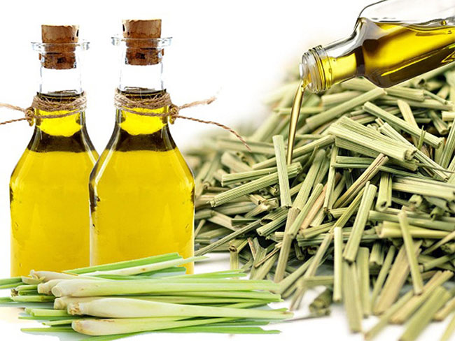Tác dụng của tinh dầu sả và cách làm tinh dầu sả đơn giản tại nhà