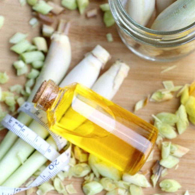 Tác dụng của tinh dầu sả và cách làm tinh dầu sả đơn giản tại nhà