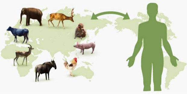 Những sự thật ít người biết về virus: Chúng đến từ đâu, lây lan và gây bệnh như thế nào?