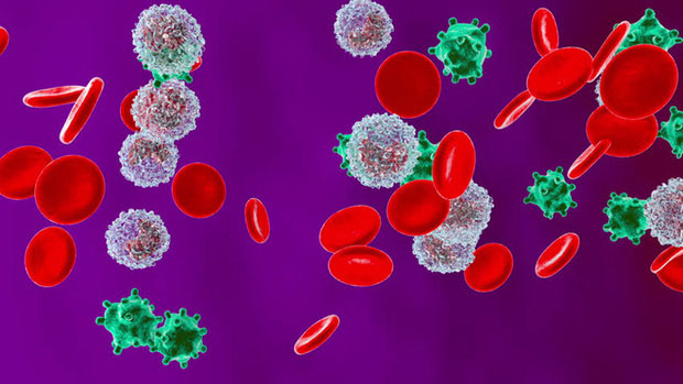 Những sự thật ít người biết về virus: Chúng đến từ đâu, lây lan và gây bệnh như thế nào?