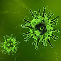 Tìm thấy protein "khắc tinh" của nhiều loại virus