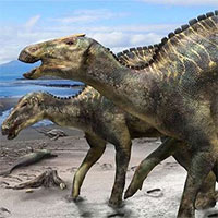 Phát hiện dấu tích bệnh ung thư hiếm gặp trong hóa thạch khủng long