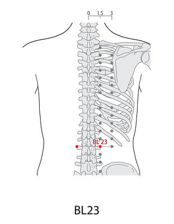 Ai dễ mắc bệnh về thận? Có cách nào để cải thiện sức khỏe của thận hay không?