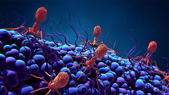 Phát hiện loại virus khổng lồ 