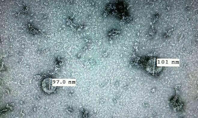 Tại sao không có thuốc đặc trị diệt virus?