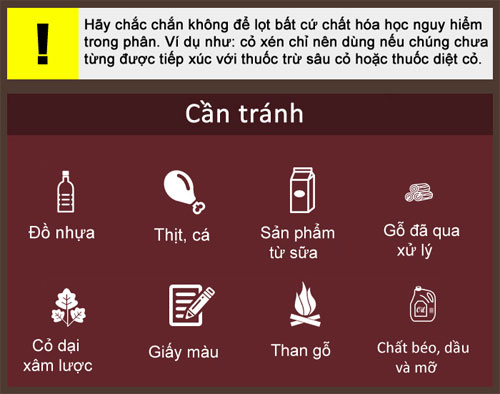 Cách làm phân hữu cơ tại nhà đơn giản đến bất ngờ
