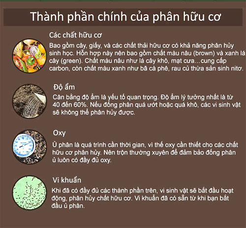 Cách làm phân hữu cơ tại nhà đơn giản đến bất ngờ