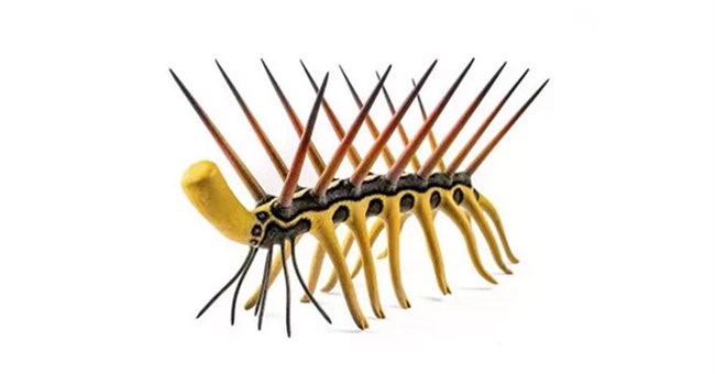 Những sinh vật bí ẩn trên Trái đất khiến giới khoa học đau đầu vì không thể phân loại cho chúng