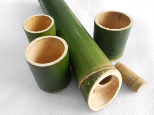 Tại sao có một số cây lại rỗng thân?