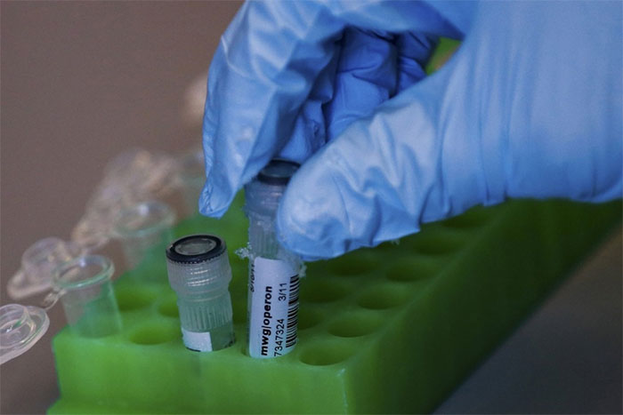 Trung Quốc phát hiện hướng điều trị mới với virus corona