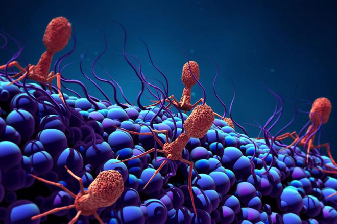 Khoa học phát hiện ra những con virus khổng lồ với khả năng 