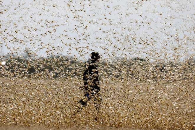 Chưa hết virus corona, Trung Quốc đã phải đối mặt với 