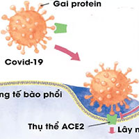 Các nhà khoa học chụp được ảnh virus Covid-19 ở độ phân giải nguyên tử