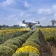 15 công nghệ nông nghiệp của tương lai