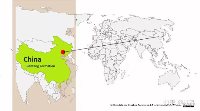 Phát hiện loài thằn lằn bay kỳ dị treo mình lộn ngược trên cây như loài dơi ở Trung Quốc