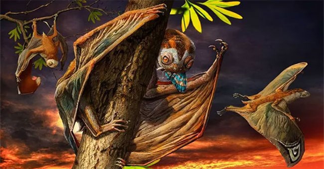 Phát hiện loài thằn lằn bay kỳ dị treo mình lộn ngược trên cây như loài dơi ở Trung Quốc