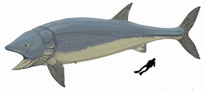 Leedsichthys: 