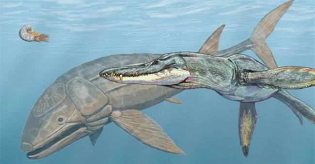 Leedsichthys: "Máy hút bụi" của biển cả Kỷ Jura từng bị hiểu nhầm là khủng long