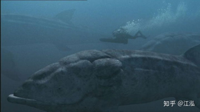 Leedsichthys: 