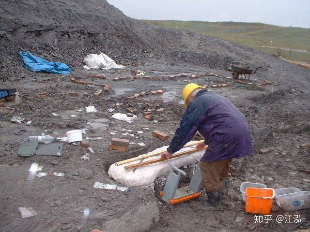Leedsichthys: 
