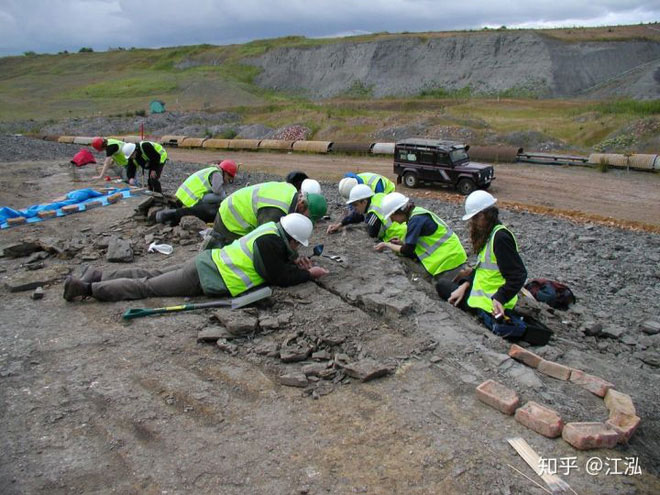 Leedsichthys: 