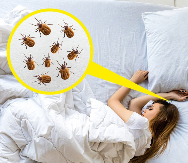 6 thói quen vệ sinh cá nhân cực sai lầm chúng ta vẫn làm mỗi ngày