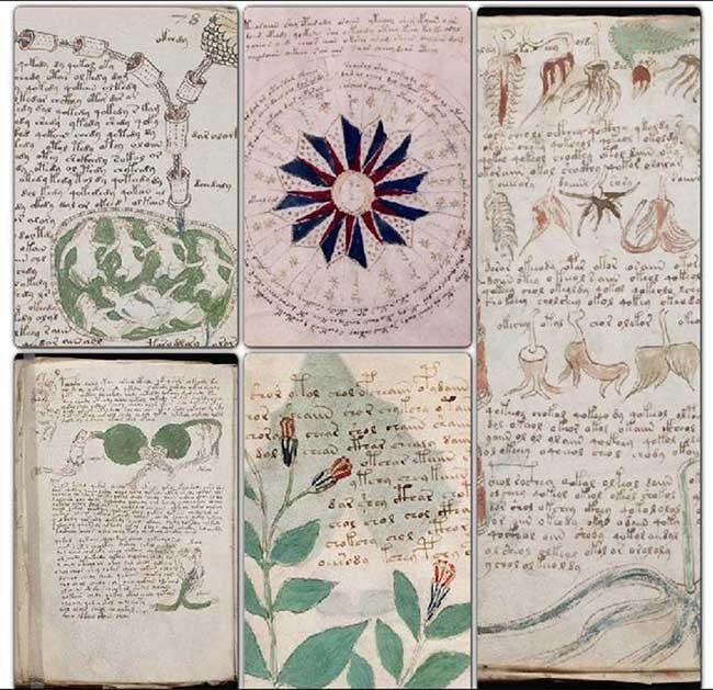 Bản thảo Voynich