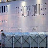 Virus corona tồn tại đến 17 ngày trên du thuyền Diamond Princess