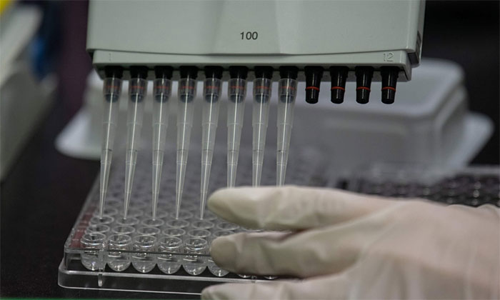 Tại sao virus corona không 