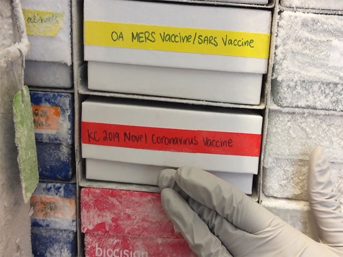 Tại sao virus corona không 