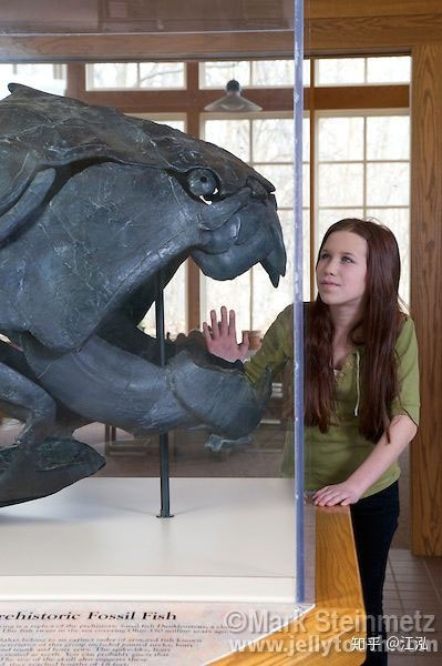 Cá Dunkleosteus: 