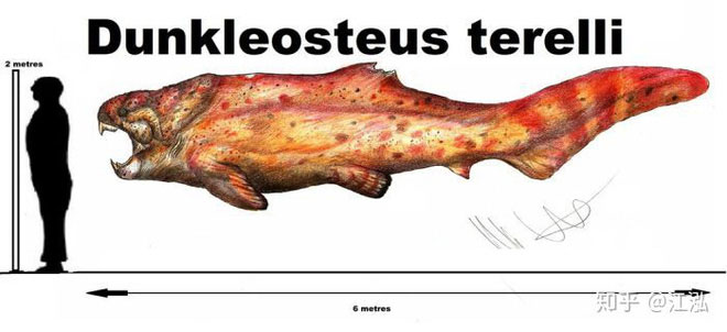 Cá Dunkleosteus: 