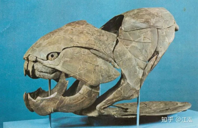 Cá Dunkleosteus: 