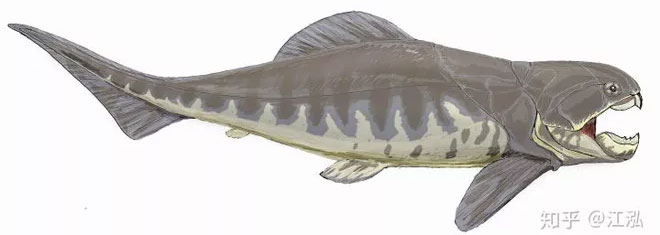 Cá Dunkleosteus: 
