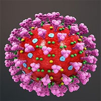 Australia chụp hình 3D virus Sars-CoV-2 hỗ trợ chế tạo vắc xin