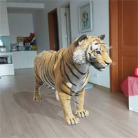 Hướng dẫn xem hình 3D con vật sư tử, mèo, chó, ngựa, cá mập... trên Google