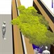 Cách nCoV phát tán sau cơn ho trong siêu thị
