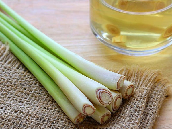 Những thực phẩm giúp tăng cường hệ miễn dịch