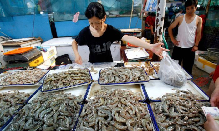 Xuất hiện virus bí ẩn ở Trung Quốc, một con tôm nhiễm bệnh hủy diệt cả đàn