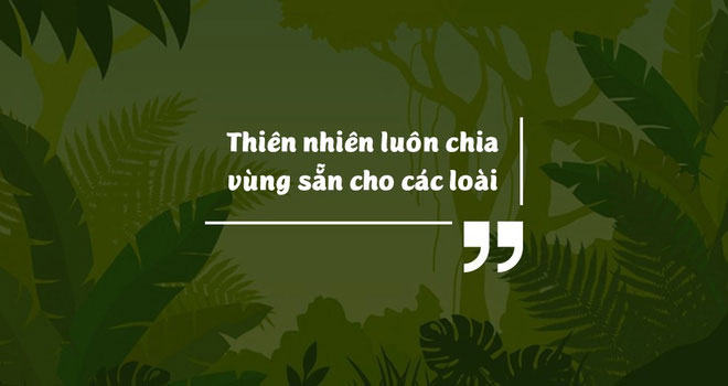 Biến đổi khí hậu đã giải phóng virus bệnh tật từ động vật hoang dã vào con người