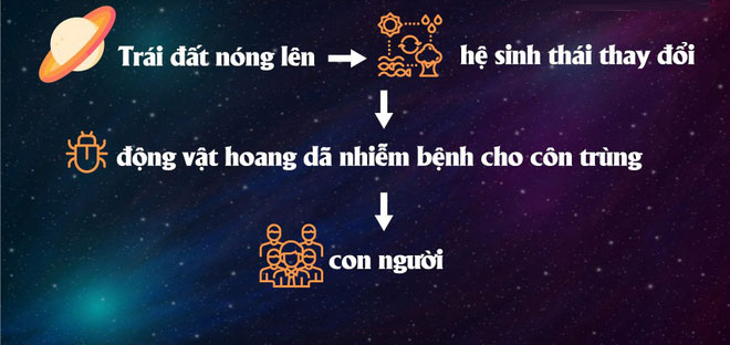 Biến đổi khí hậu đã giải phóng virus bệnh tật từ động vật hoang dã vào con người
